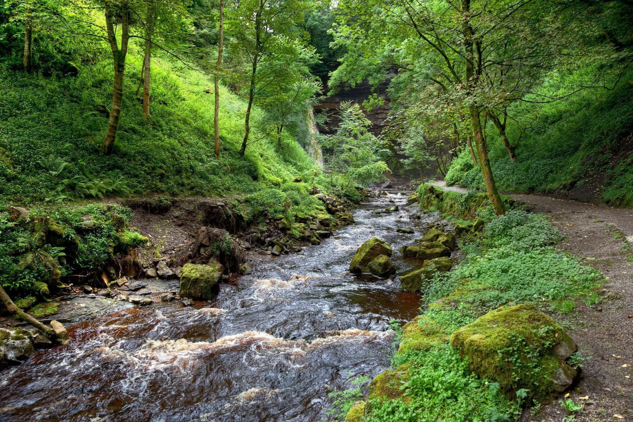 Leyburn River